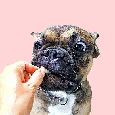 Honden snacks